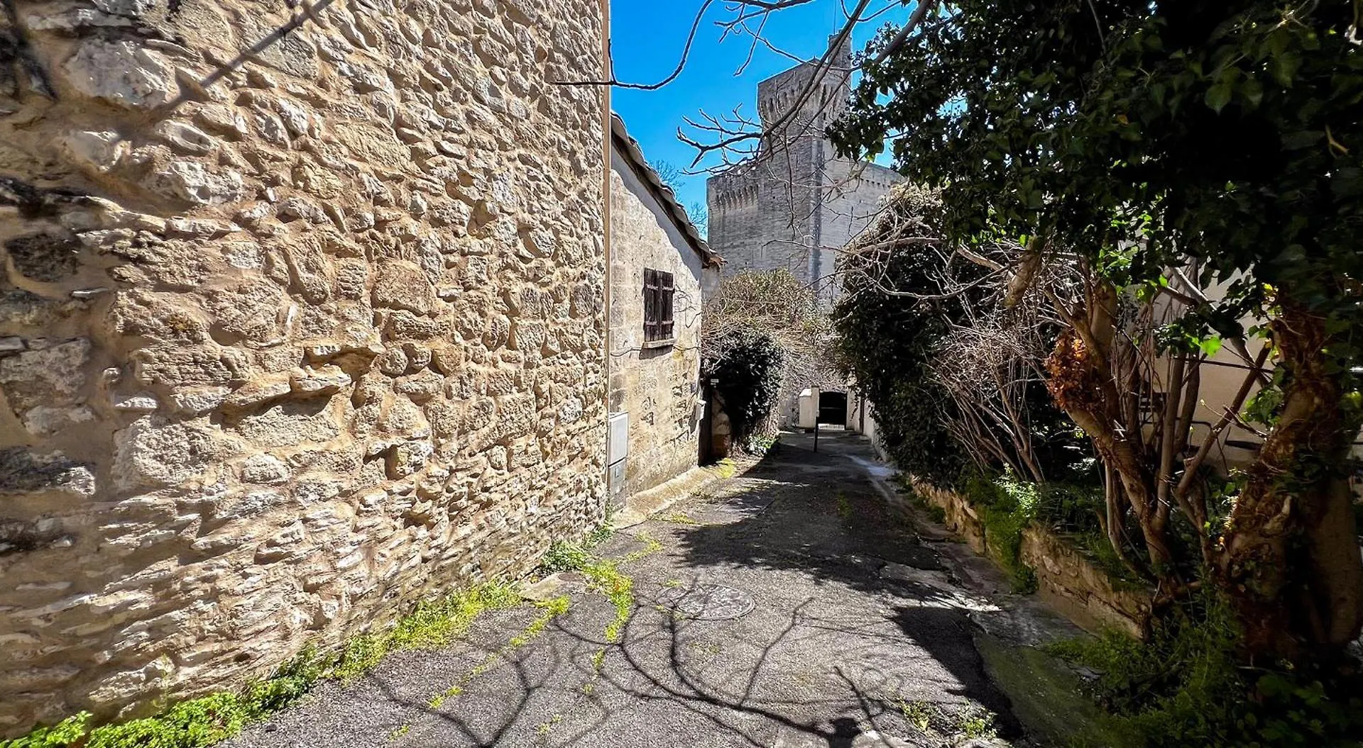Bucolic Garden - Magical View - The Bohemian Life! Villa Villeneuve-les-Avignon France